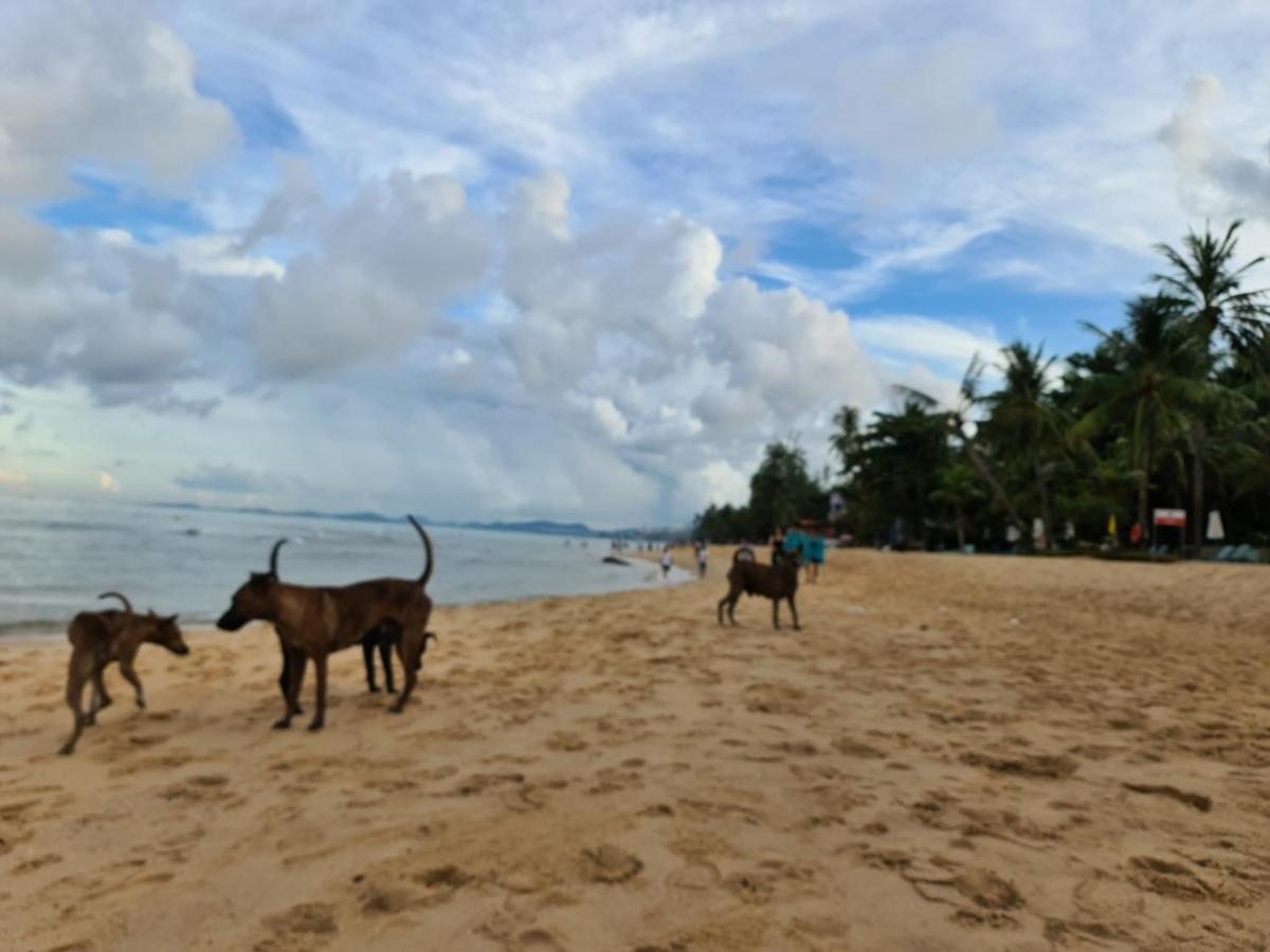 Kim Lien Phu Quoc Guesthouse Kültér fotó